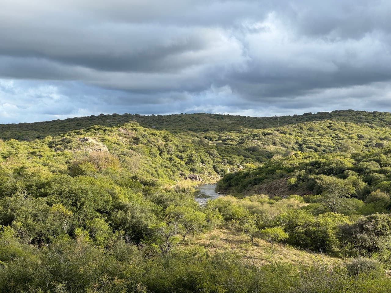Paisaje del río en Providencia